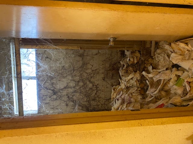 Image shows the entrance to a bathroom blocked by trash. The walls are covered with spider webs.