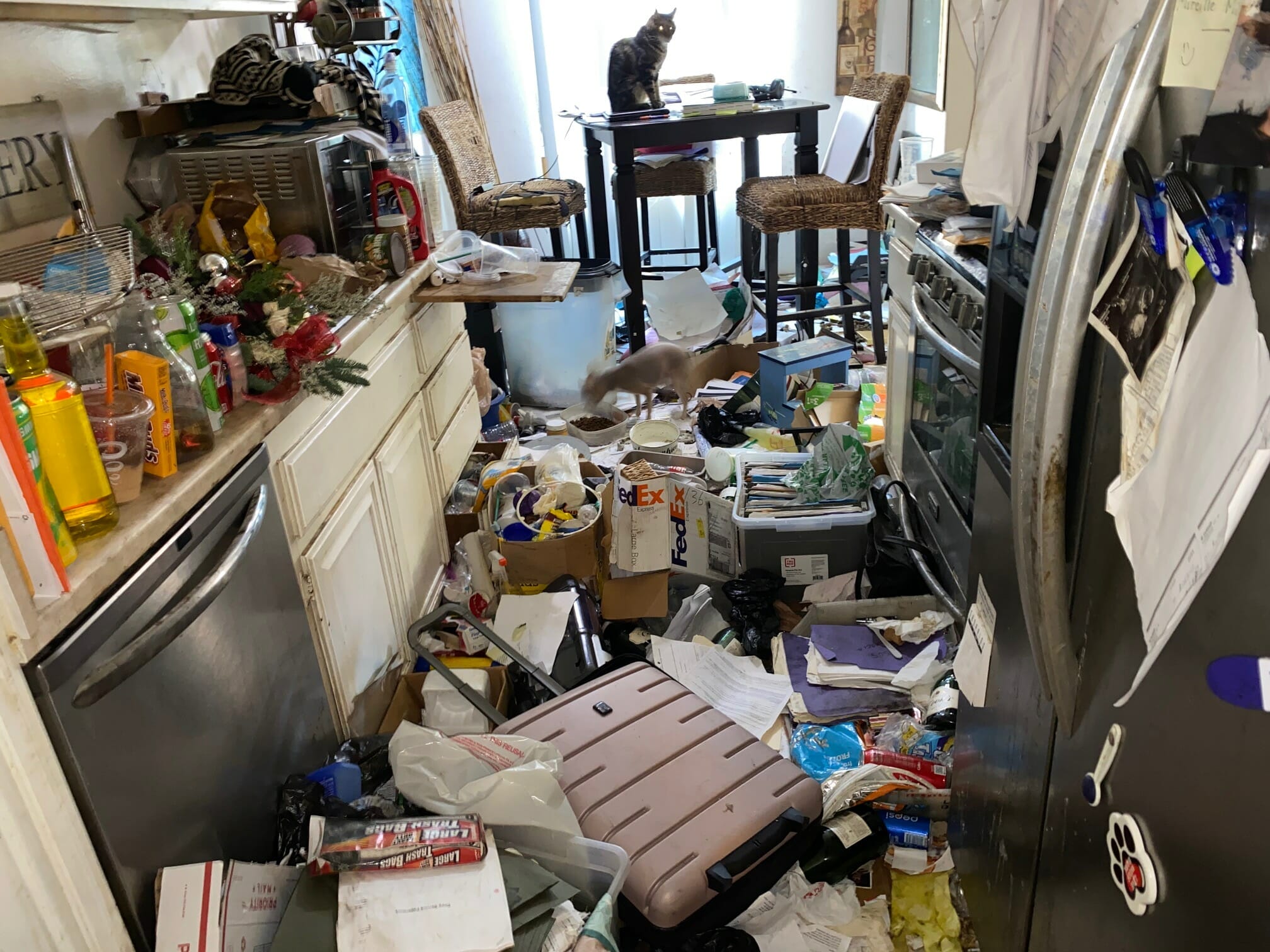 Kitchen area filled with clutter and trash. There is a cat in the back (sitting on the dinner table) and a squirrel lurking through the trash.