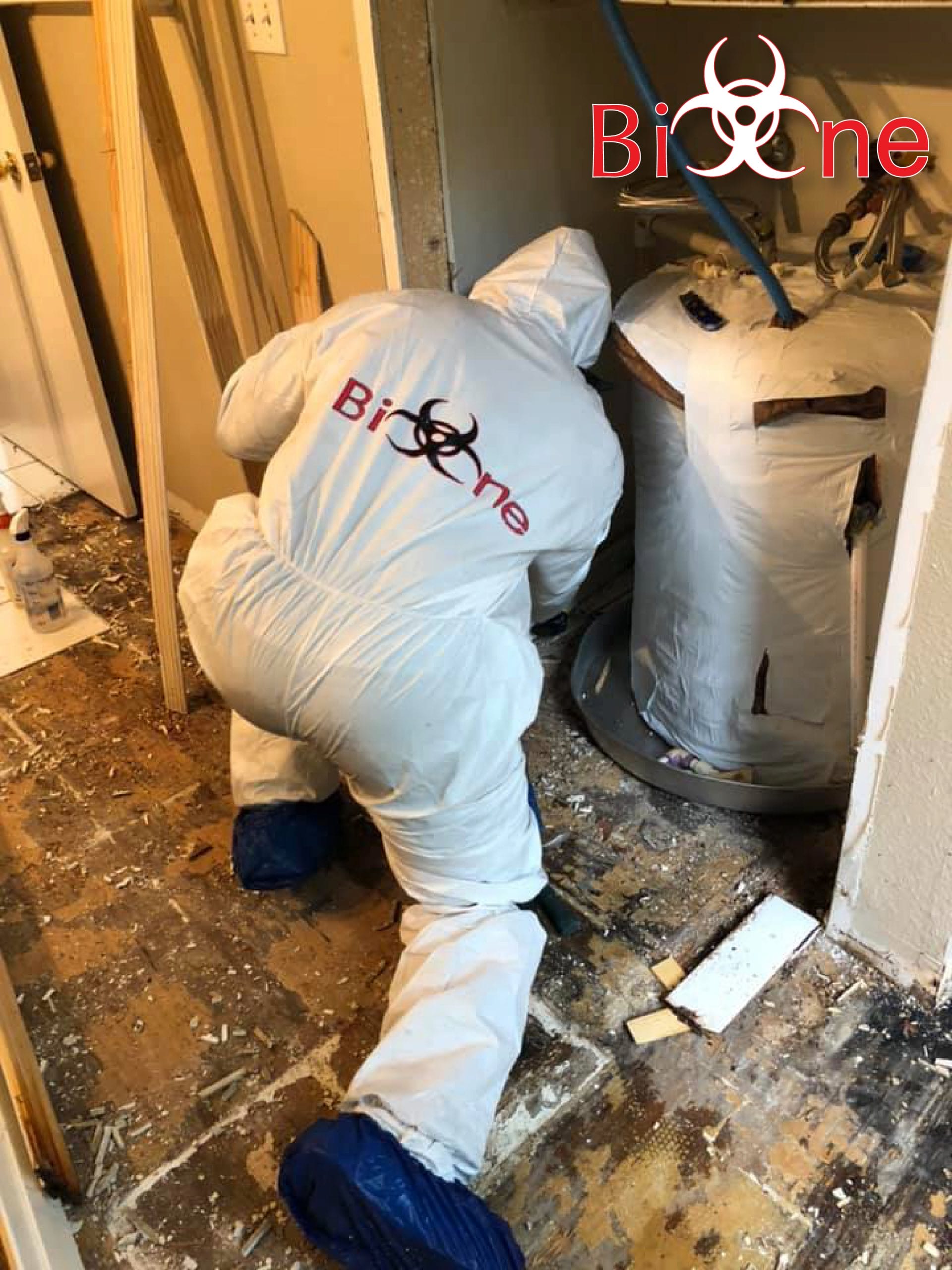Bio-One certified technicians will thoroughly revise your house or property to clean and remediate damage from rodent droppings.