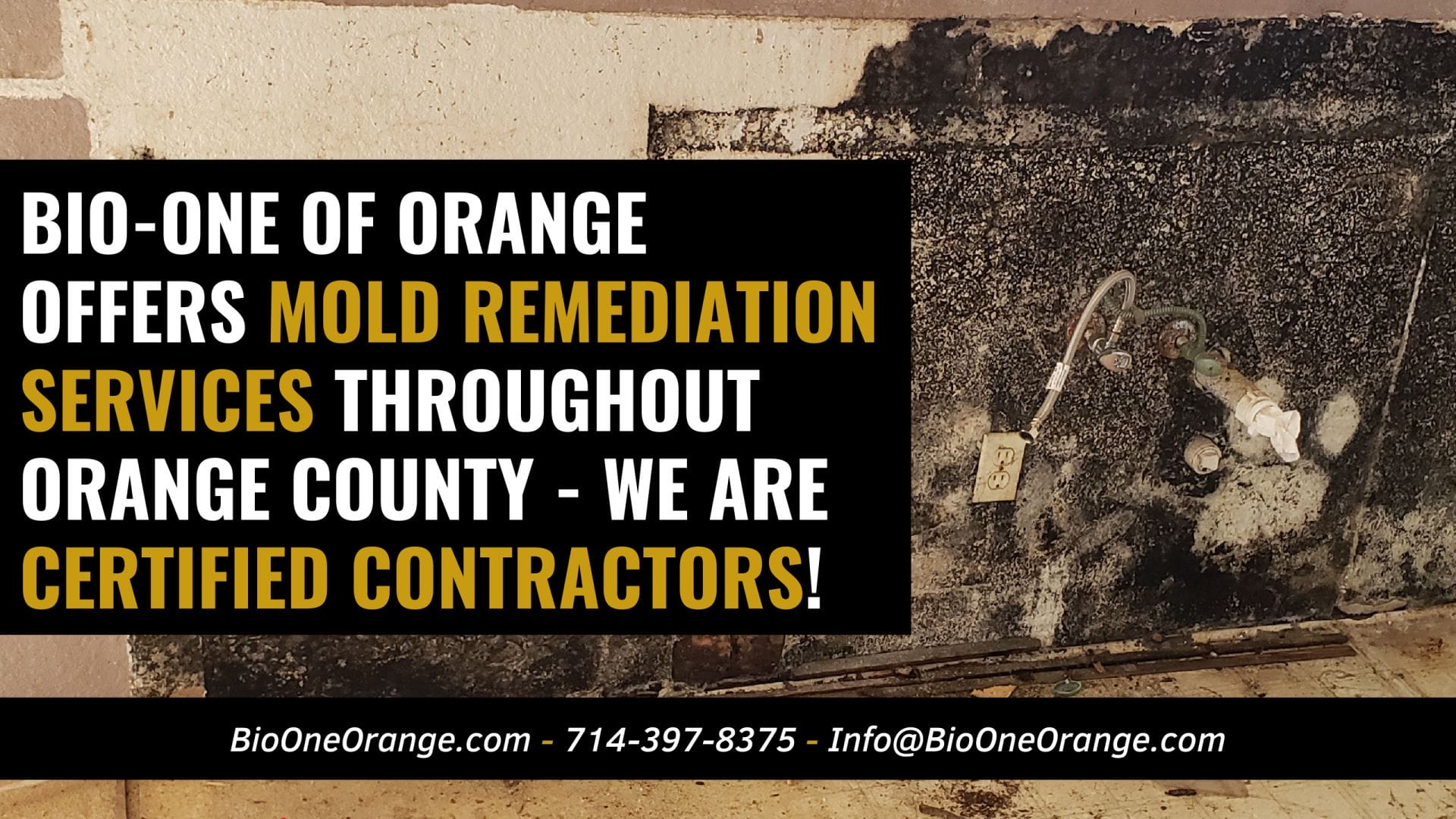 Bio-One of Orange offers mold remediation services throughout Orange County - We are Micro Certified Mold Remediation Contractors! 