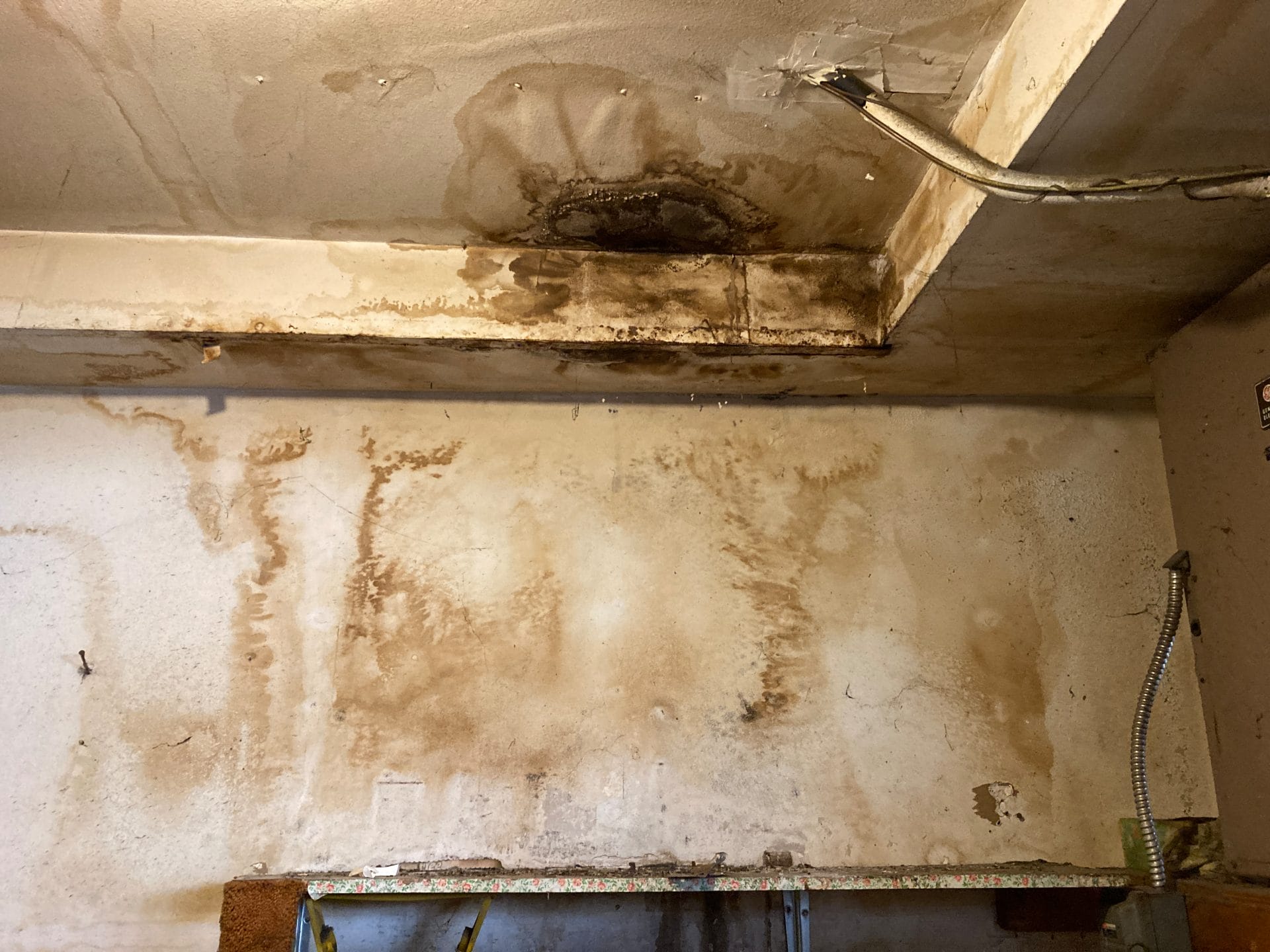 Mold grows quickly in areas with moisture and dampness. Broken pipes, roof and windows leaks make up for the perfect environment for mold to grow.