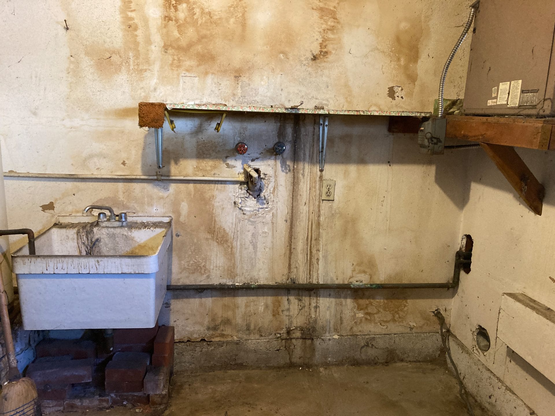 If the water issues are not promptly fixed, mold will continue to grow and evolve into a very dangerous environment for both humans and animals.