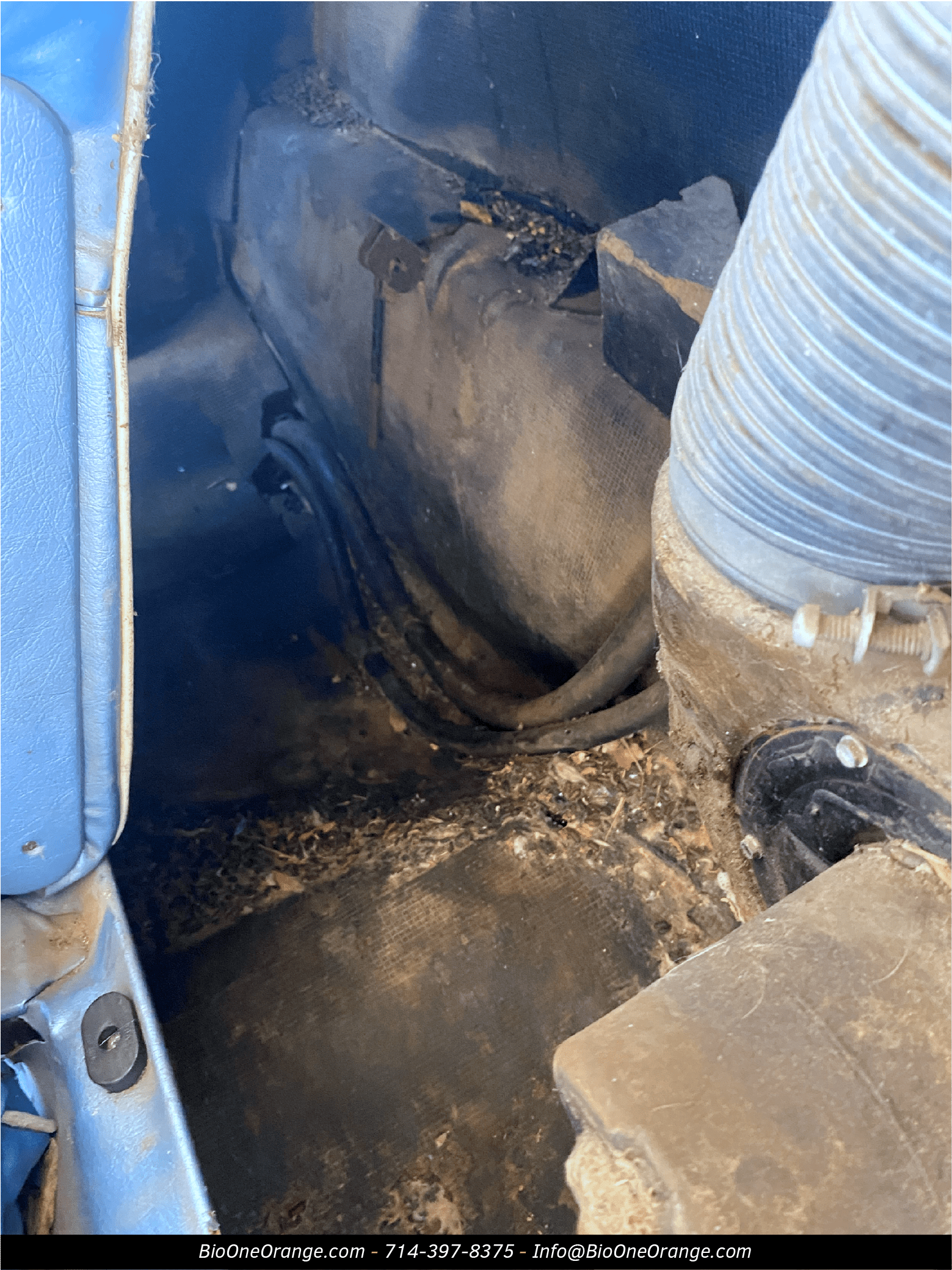 Image shows rodent droppings inside a vehicle.