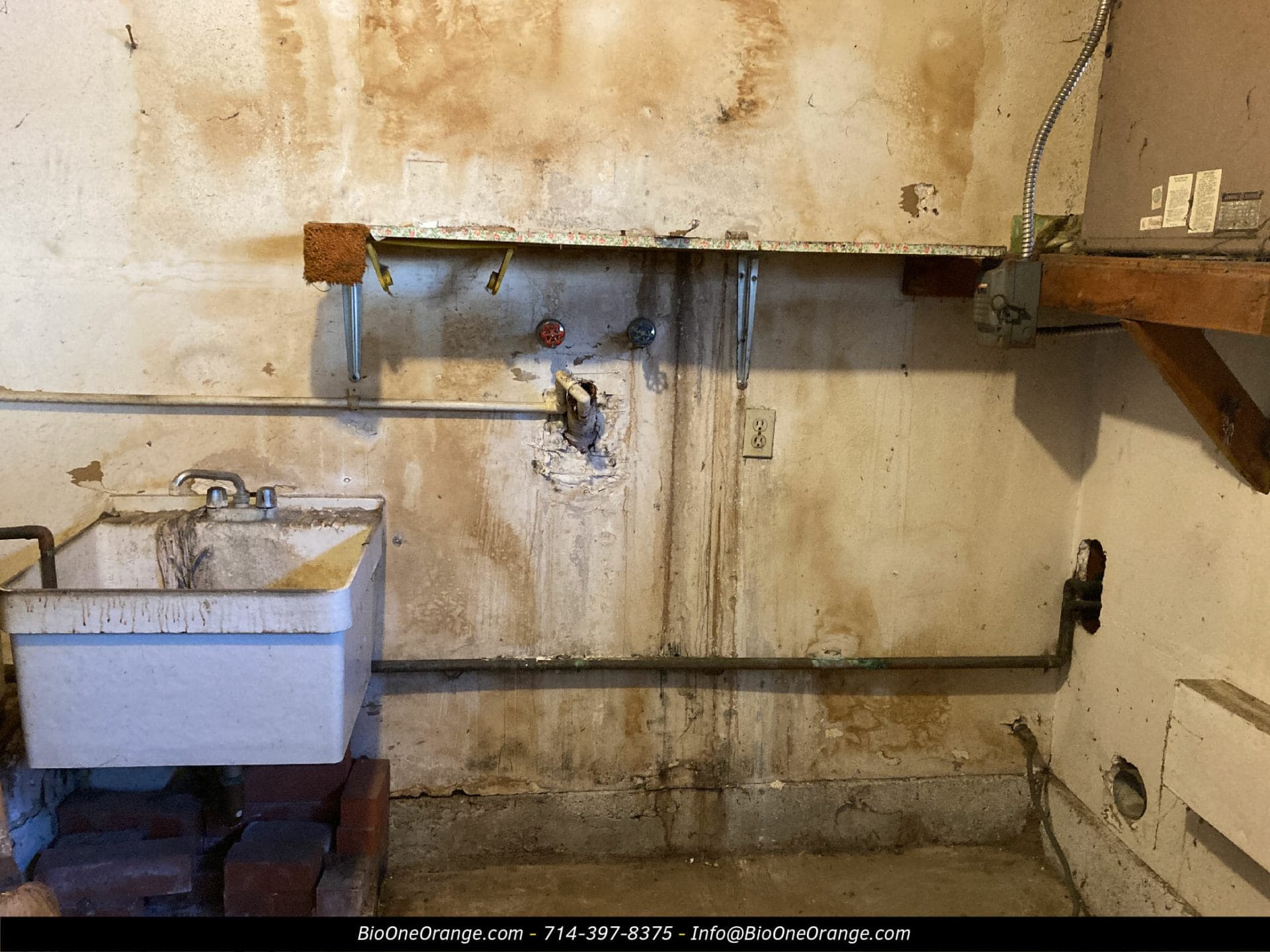Image shows mold damage in a basement area which was later cleaned by Bio-One restoration technicians.
