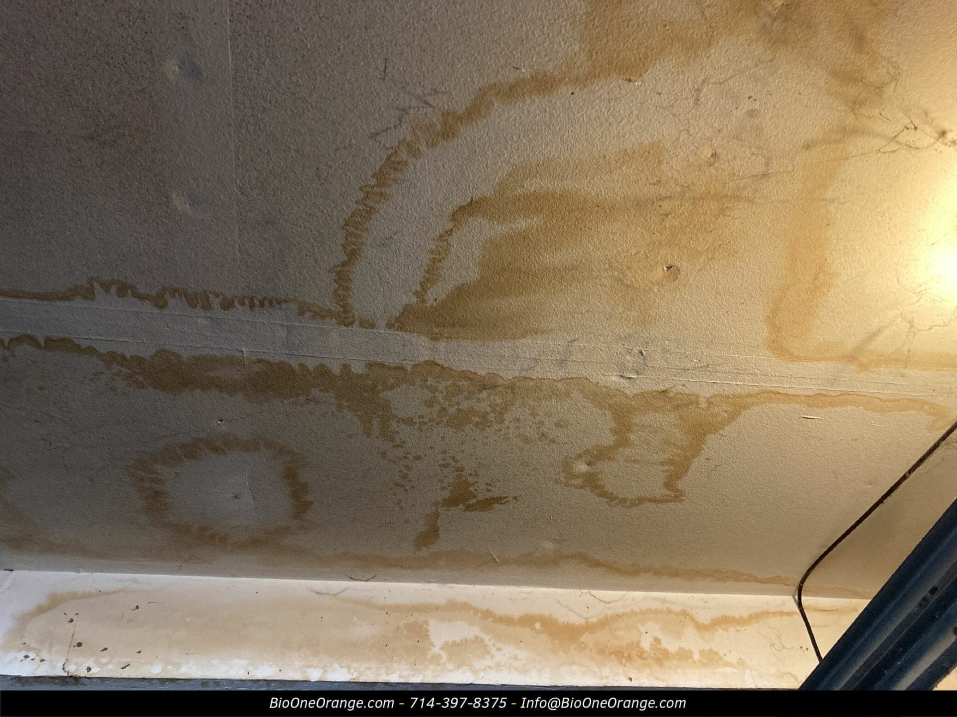 Image shows signs of mold damage in basement roof.