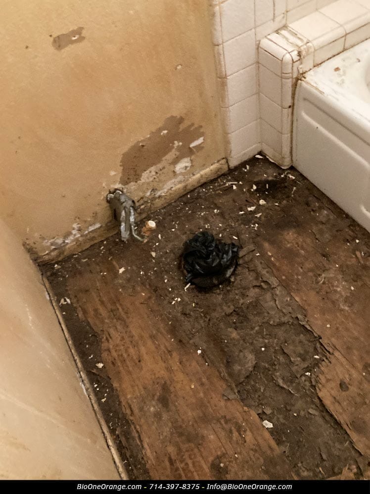 Bio-One Orange - Mold damage in bathroom toilet.