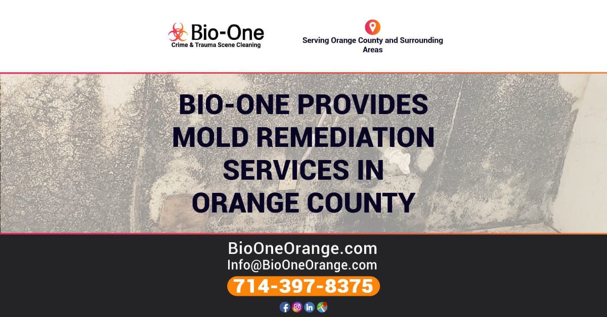 Bio-One provides Mold Remediation Services in Orange County!
