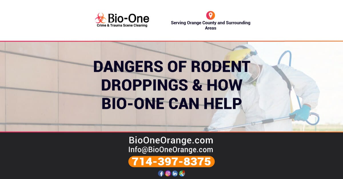 Dangers of Rodent Droppings & How Bio-One of Orange Can Help