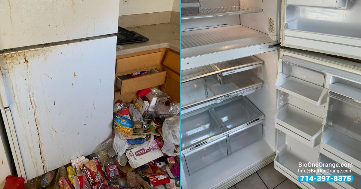 Hoarding cleanup services - Before and after.