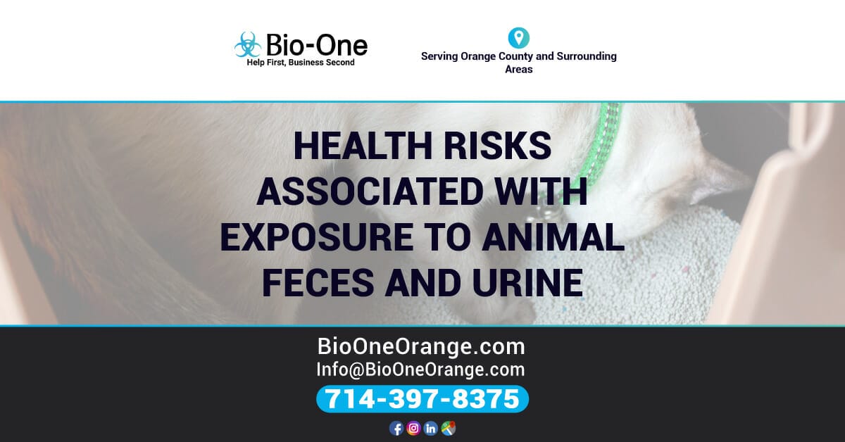Health Risks Associated with Exposure to Animal Feces and Urine - Bio-One of Orange.