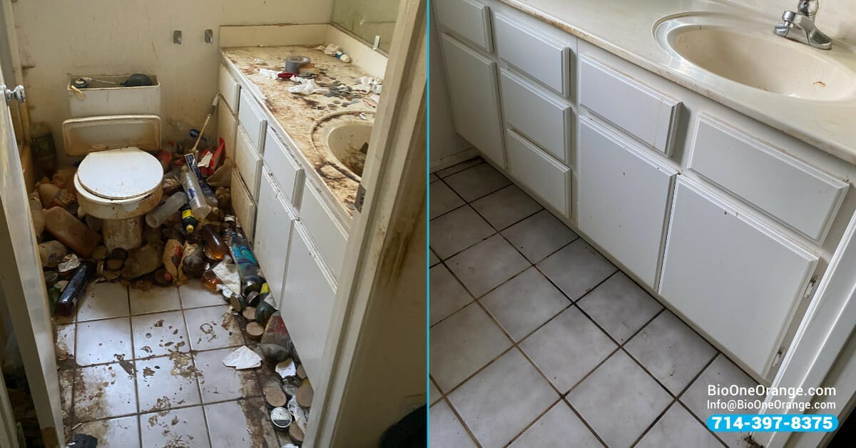 Hoarding remediation - Before and after.