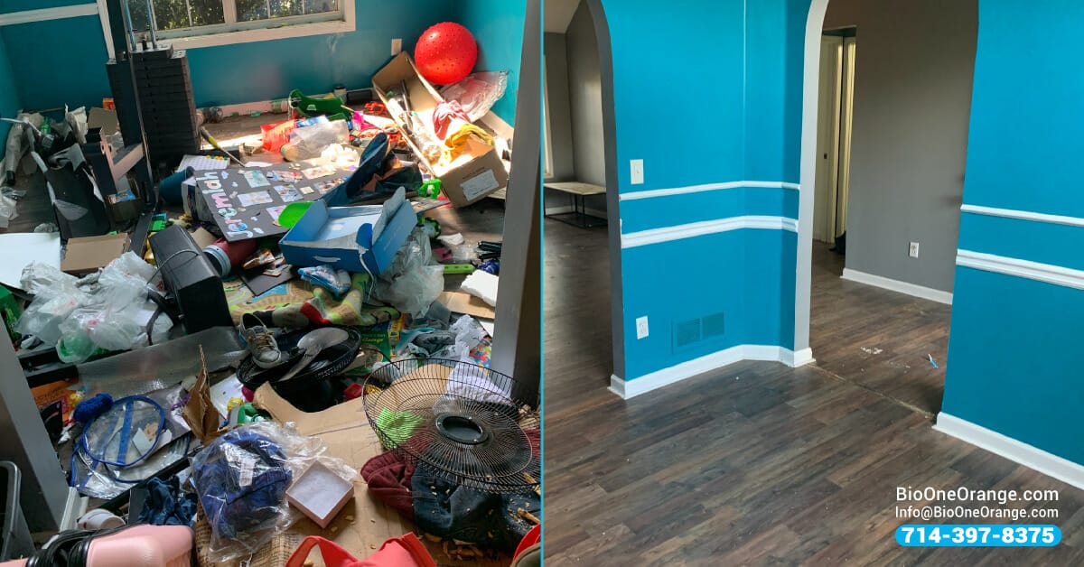 Hoarding cleaning - Before and after.