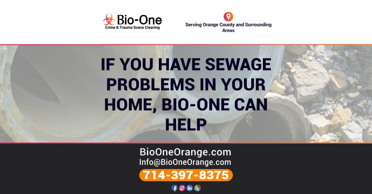 If You Have Sewage Problems In Your Home, Bio-One Can Help