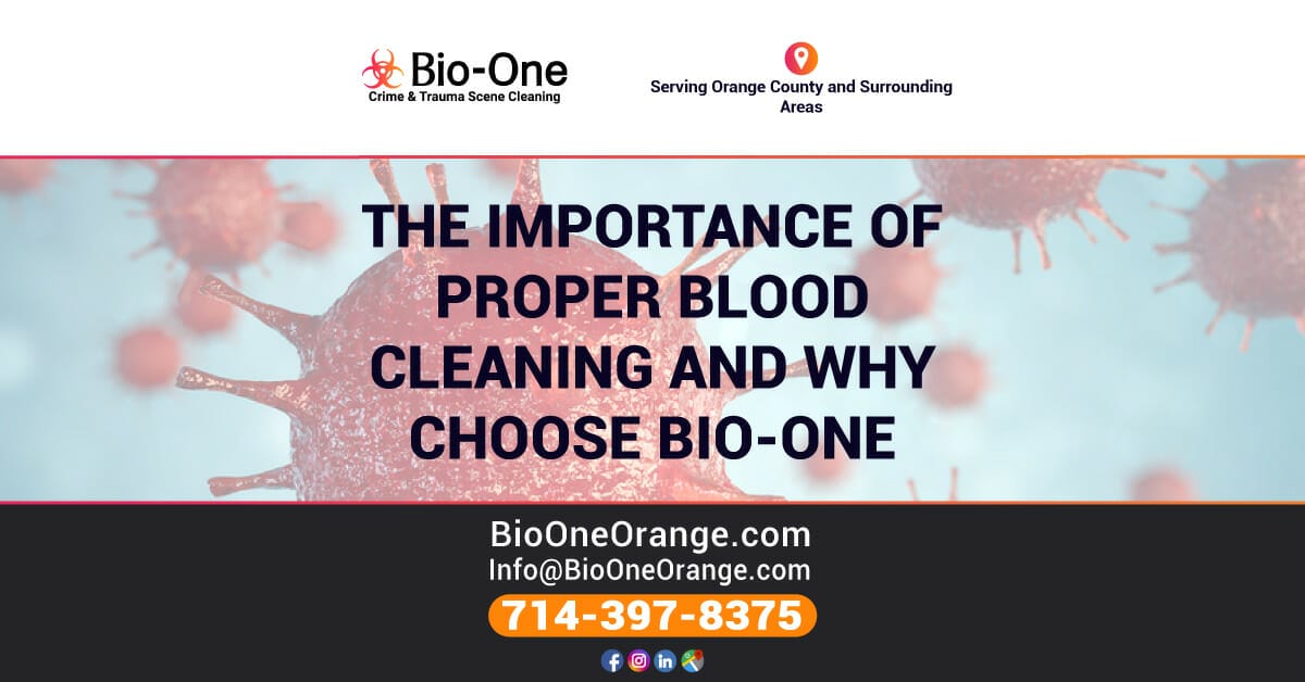 The Importance of Proper Blood Cleaning & Why Choose Bio-One