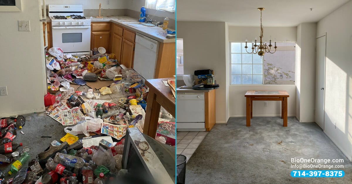 Cleaning a hoarder's home - Before and after with Bio-One.