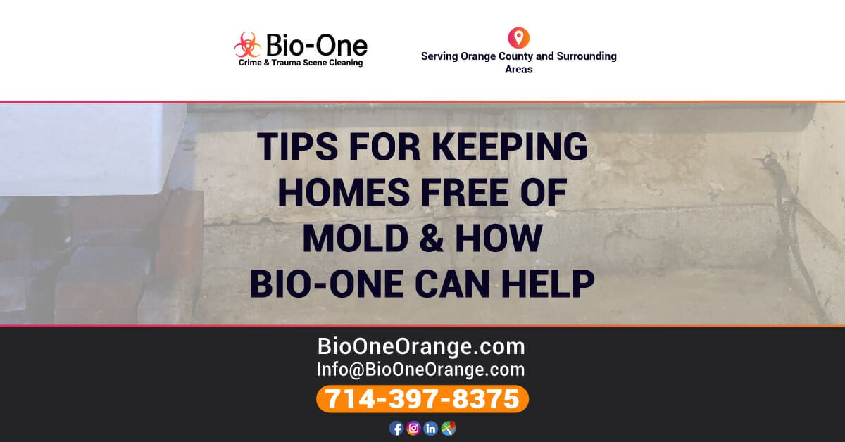 Tips for Keeping Homes Free of Mold & How Bio-One Can Help
