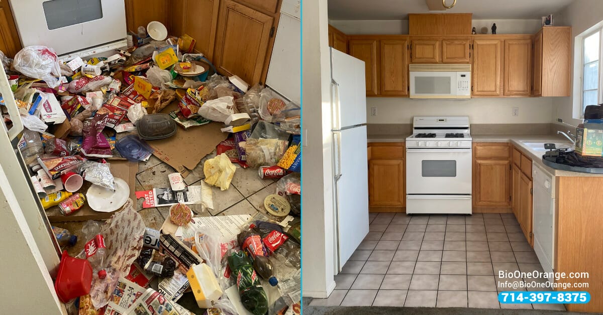 Hoarding cleanup with Bio-One - Before and after.